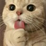 RetteDasPlanet